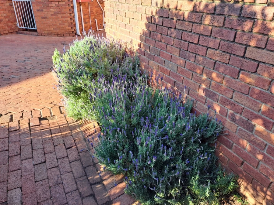 To Let 1 Bedroom Property for Rent in Westdene Free State